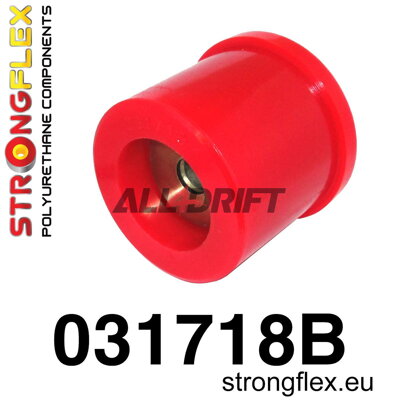 031718B Zadný silentblok uloženia zadného diferenciálu BMW E39